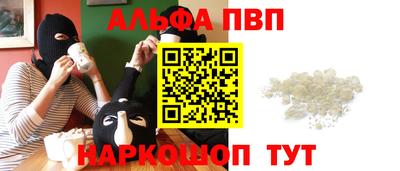 стаф Дубна