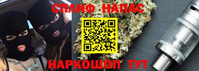 стаф Дубна