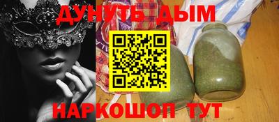стаф Дубна