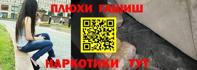 стаф Донской