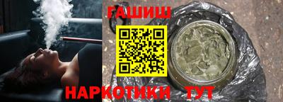 стаф Дубна